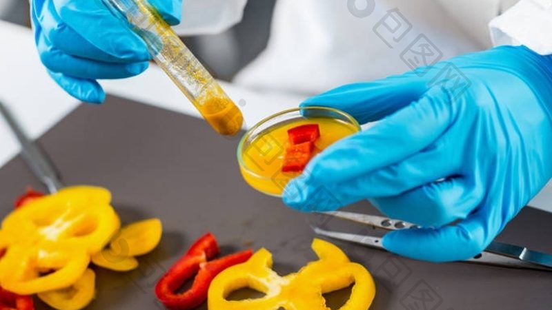 行业现状：食品招商代理平台的多与乱